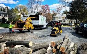 Best Commercial Tree Services  in South Pasadena, FL